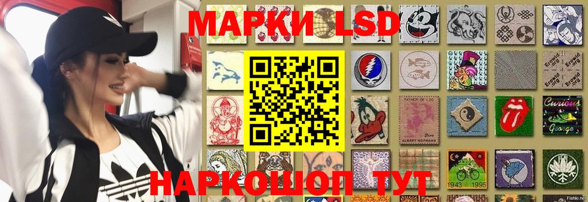 блэк спрут зеркало  LSD-25 экстази кислота  LSD-25 экстази ecstasy  Вход с VPN  Свободный 