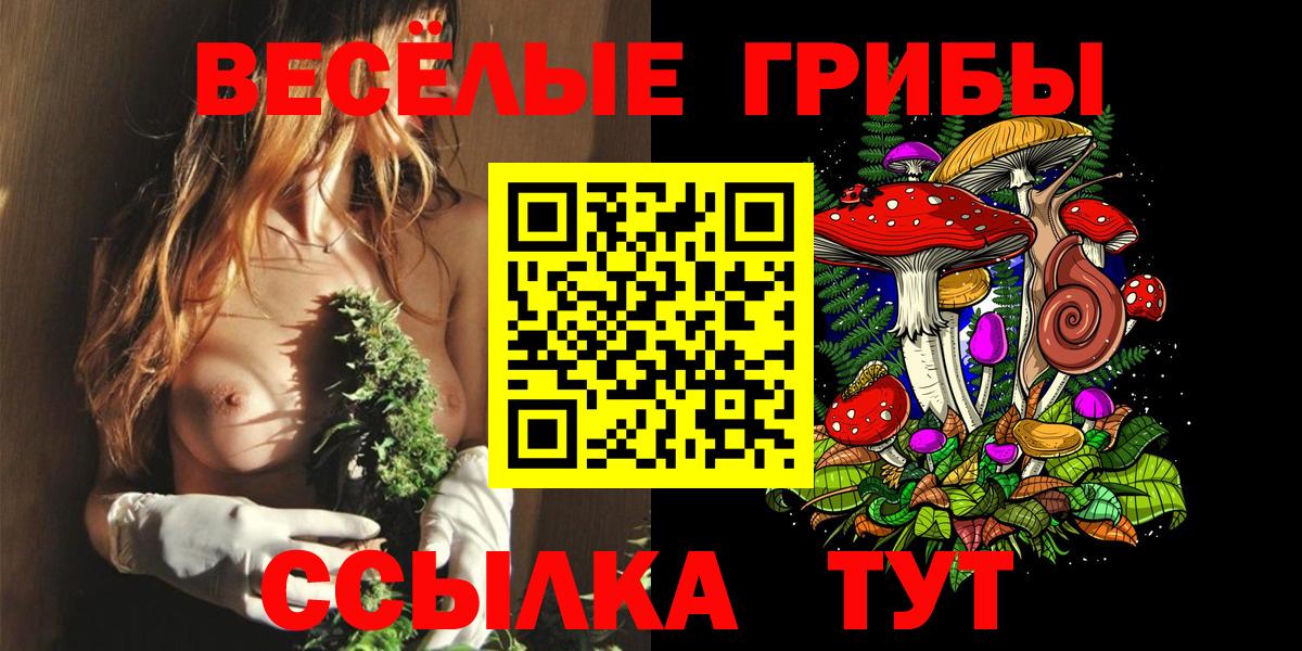 Галлюциногенные грибы MAGIC MUSHROOMS Свободный